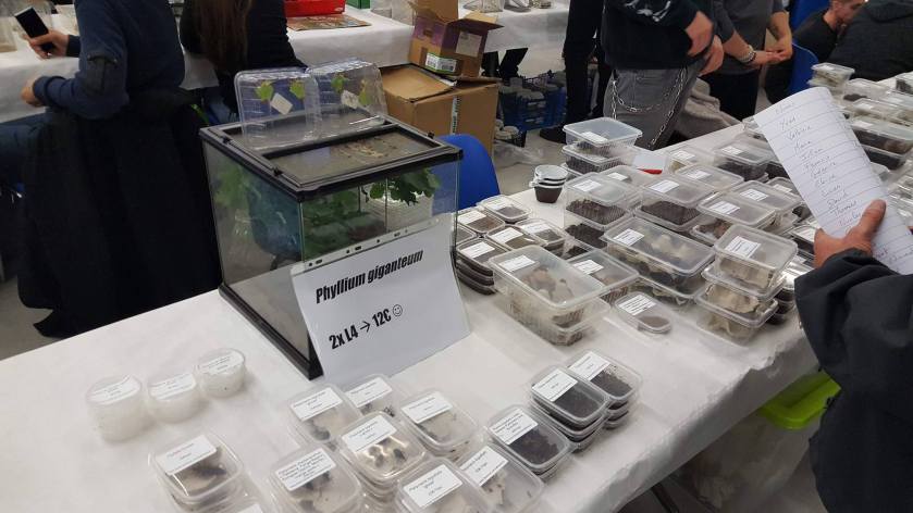 21844168_1929840467340862_1978527064_o