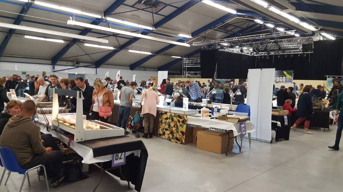 Retour sur la bourse d&rsquo; Escaudoeuvres du&nbsp;17/09/17