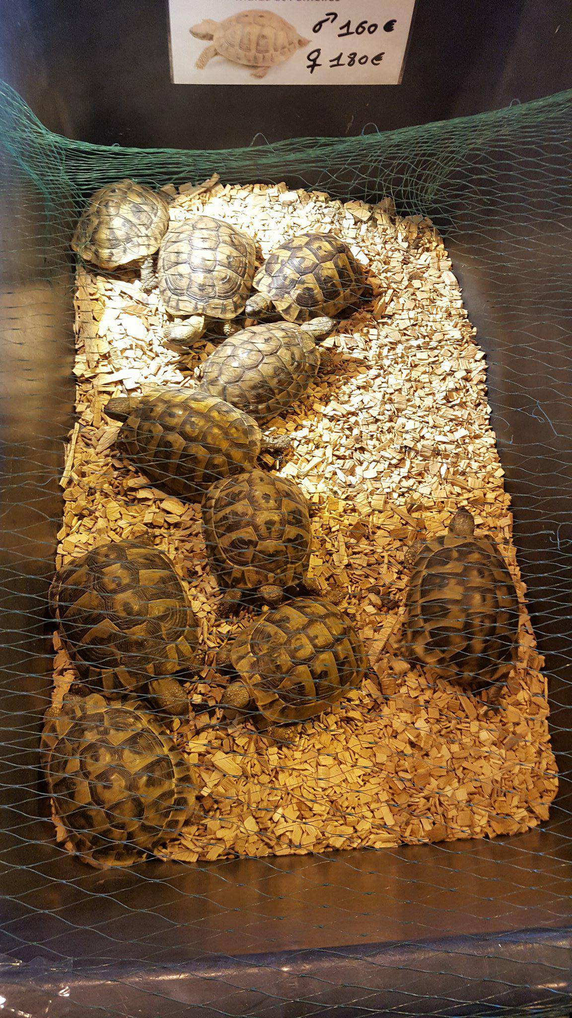 23432932_10214793616858218_240048407_o