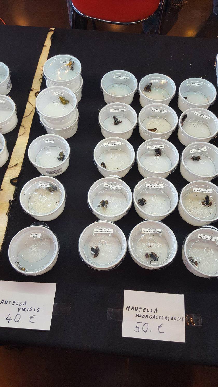 23433020_10214793617538235_1525143984_o