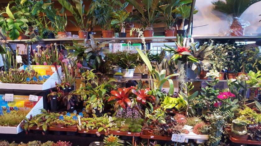 23433216_10214793617818242_1991259422_o