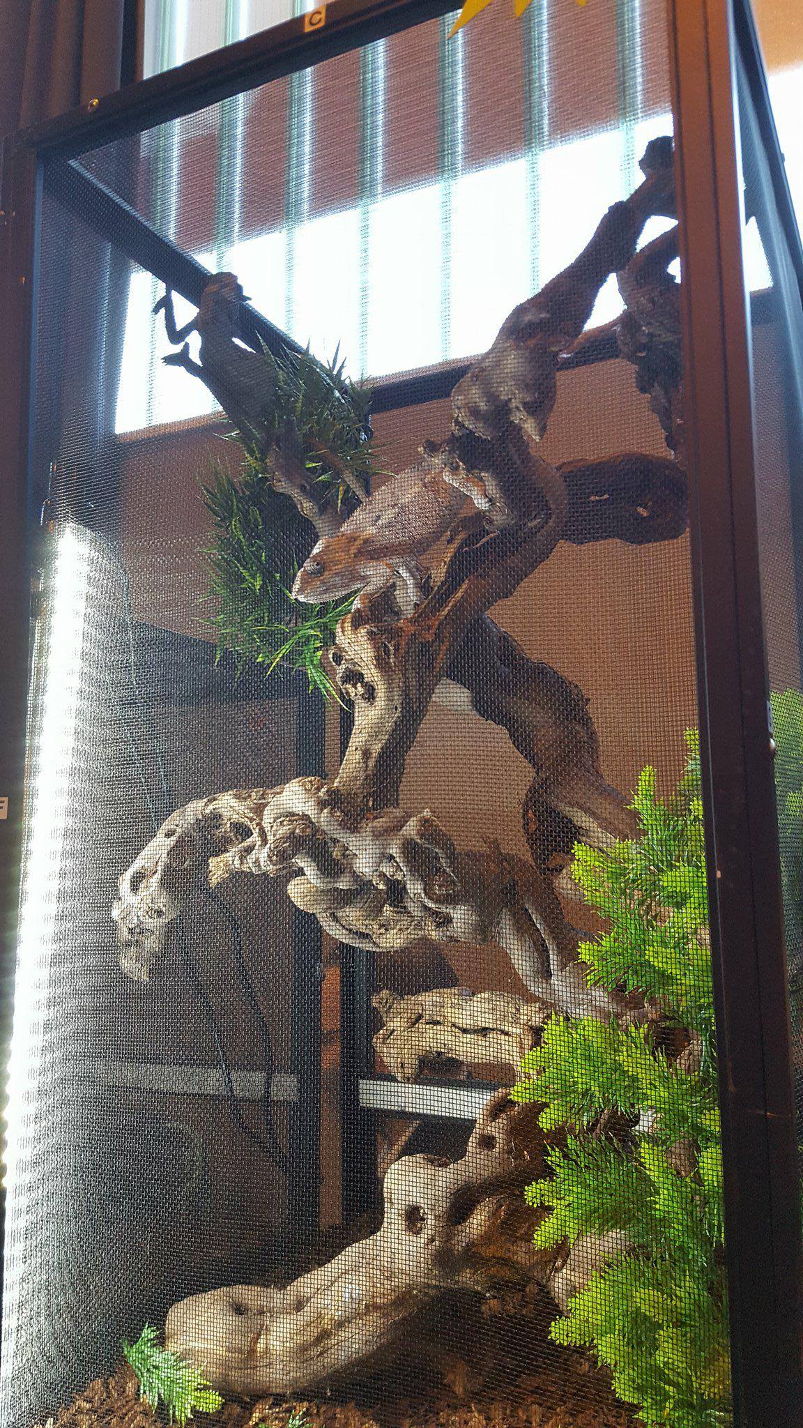 23469032_10214793617858243_592861291_o