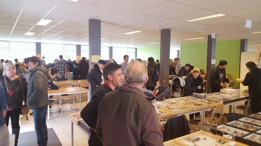 29315257_2029337097391198_2411730694842613760_o