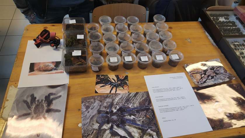 29339961_2029333937391514_4727146413064978432_o