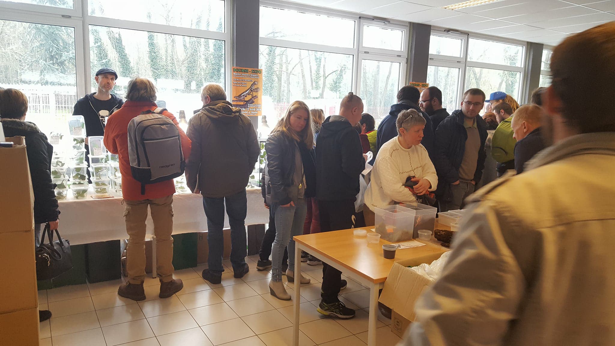 29340427_2029333894058185_214961472487292928_o