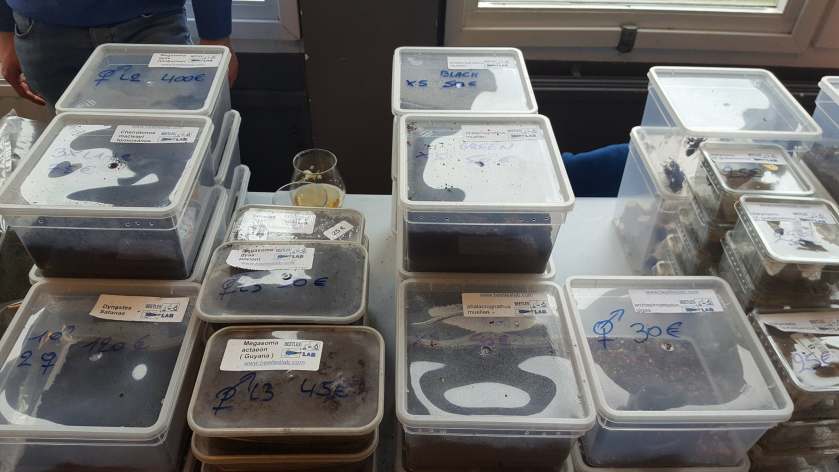 29342956_2029334374058137_1659710495730434048_o