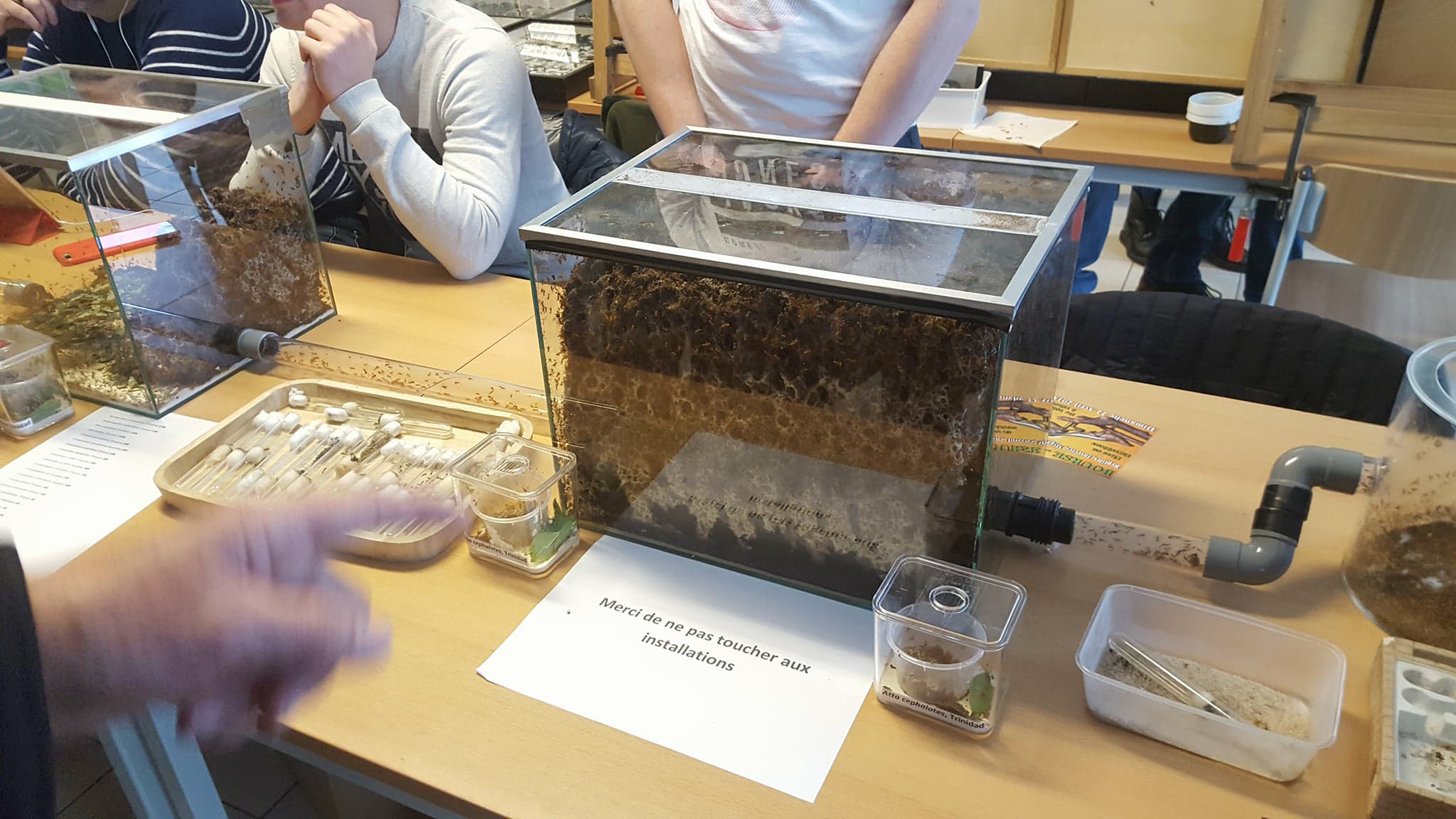 29356203_2029341627390745_5161704942011940864_o