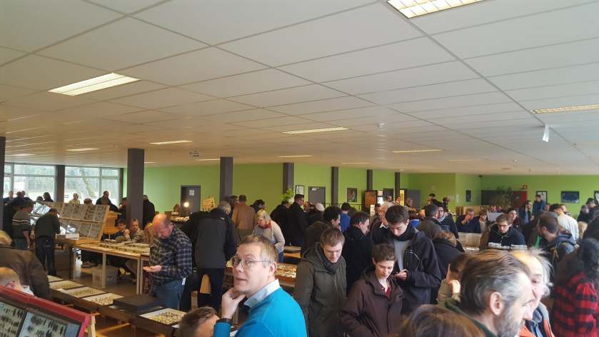 29356571_2029337047391203_4707865819541929984_o