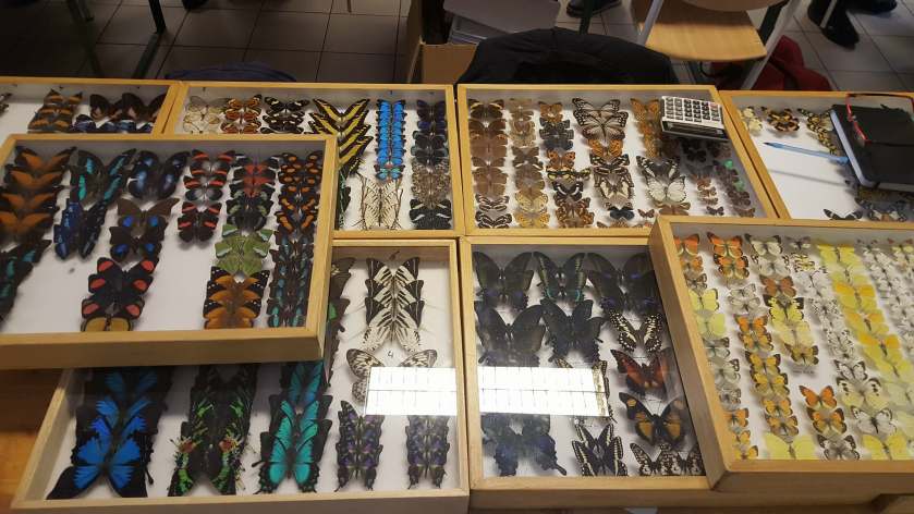 29356792_2029334517391456_7540657803661148160_o