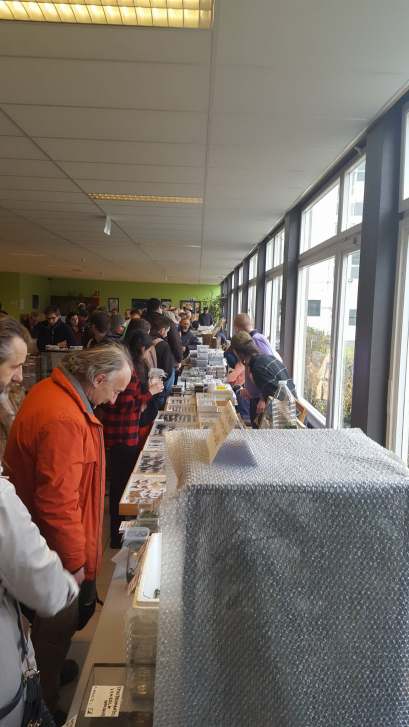 29356875_2029334104058164_4816397371074150400_o