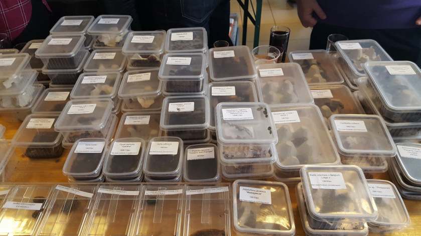 29357055_2029336954057879_7447505619482836992_o