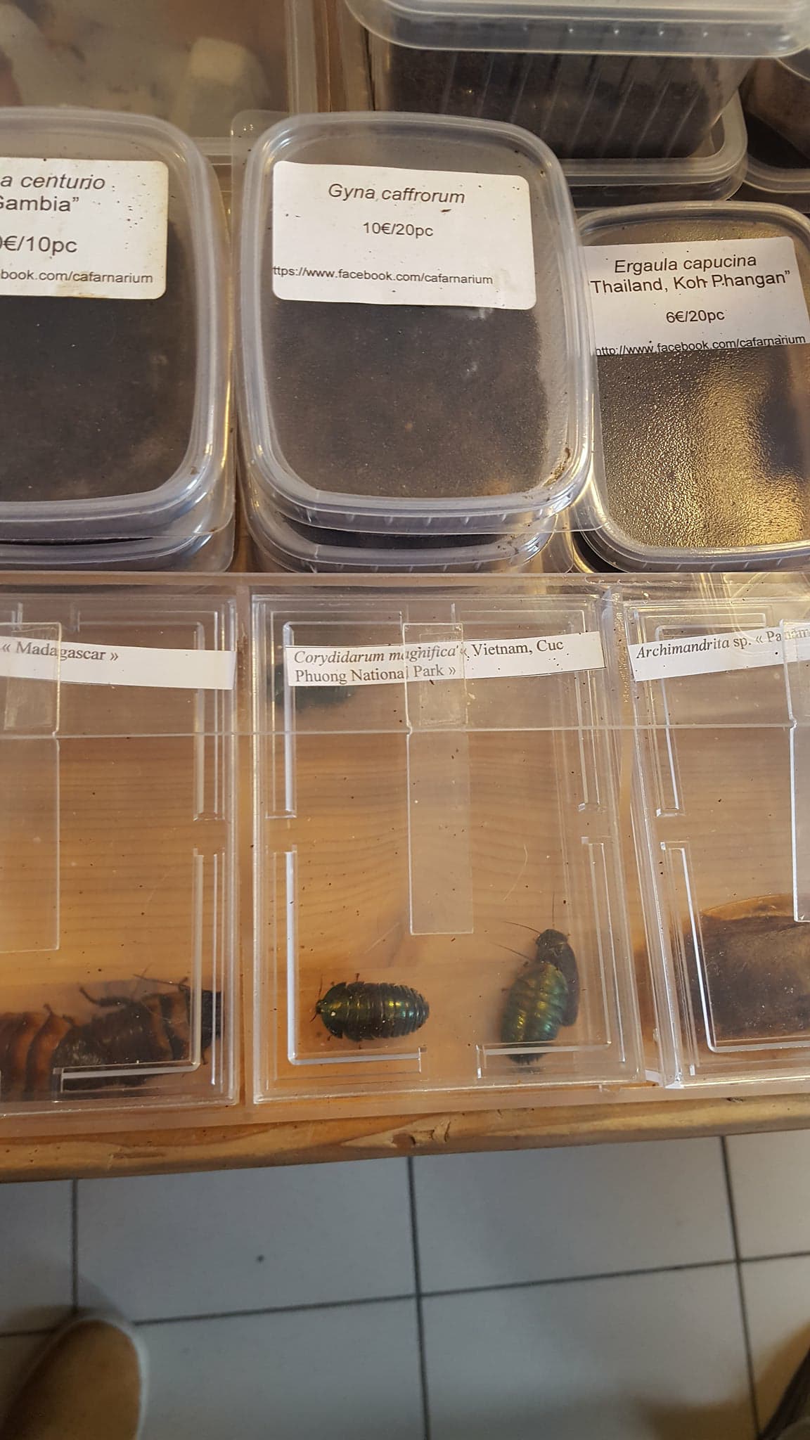 29365509_2029336994057875_6094696474359103488_o